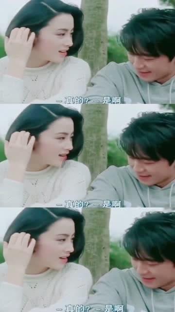 狐狸的旅程